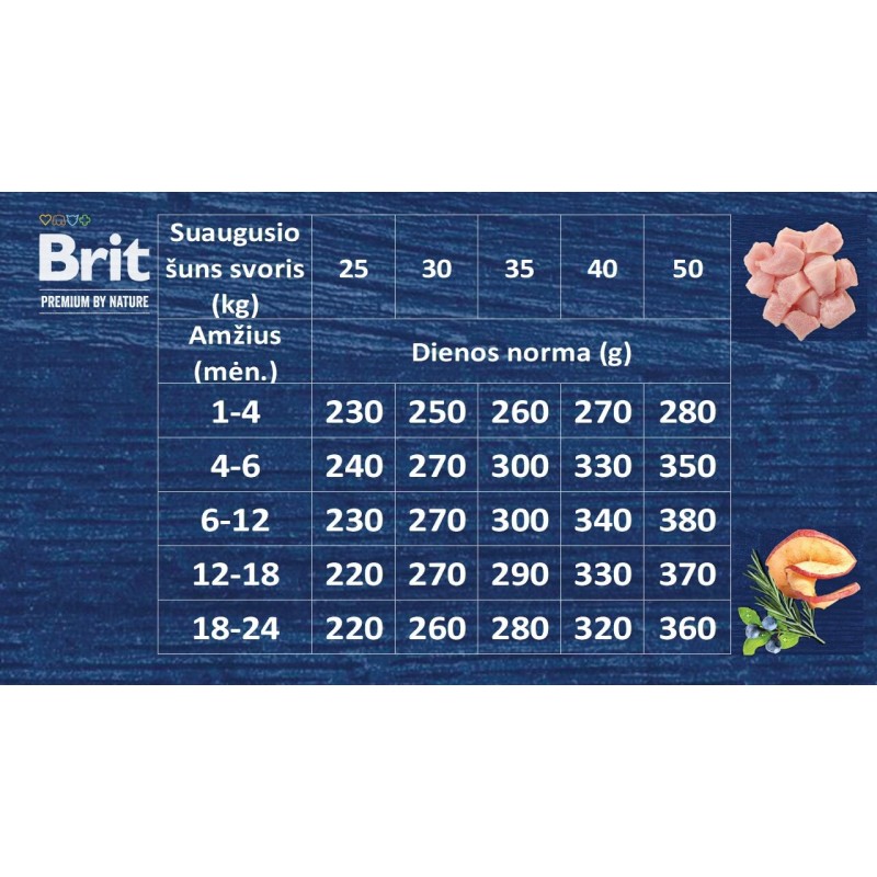 Brit Premium Nature Junior L 15kg koertele