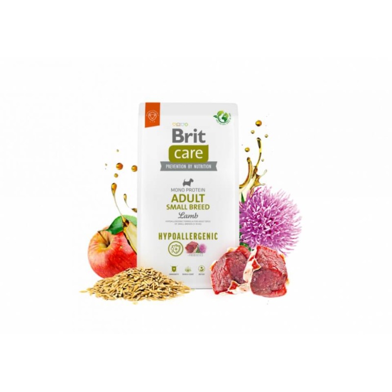 Brit Care täiskasvanud S lambaliha ja riis 1kg koertele