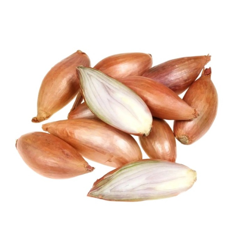 Griselle šalotsibula seemned 21/24 0,5kg