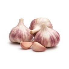 Winter Garlic Germidour 50/60 0,250Kg