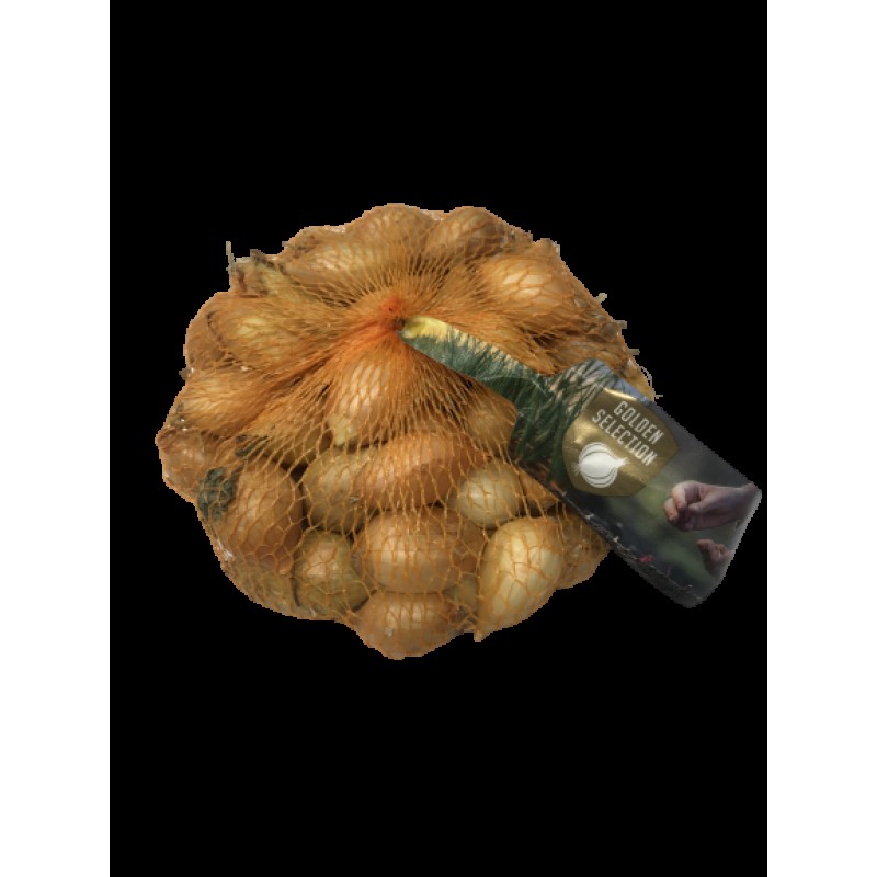 Kollase sibula seemikud Shakespeare 21/24 0,5kg