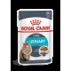 Royal Canin Urinary Care 85g x 12 kassidele