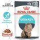 Royal Canin Urinary Care 85g x 12 kassidele
