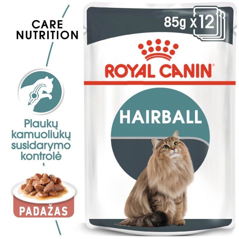 Royal Canin FCN märg toit 85g x 12 karvakammi hooldus kassidele