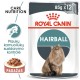 Royal Canin FCN märg toit 85g karvakerade kontrolliks kassidele