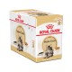 Royal Canin Maine Coon niiske toit 85g x 12