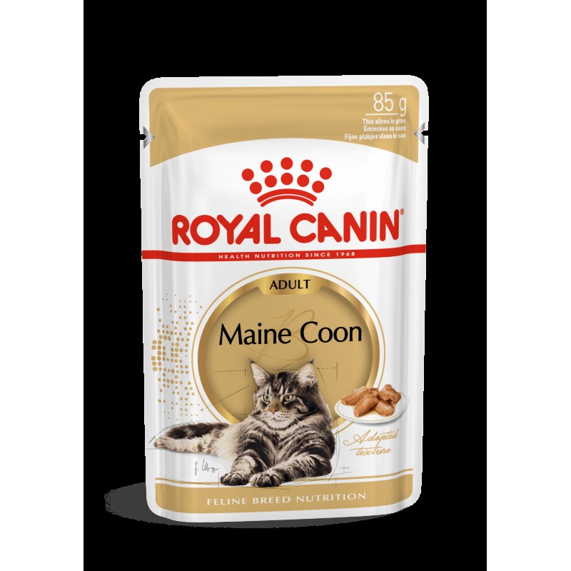 Royal Canin Maine Coon niiske toit 85g x 12