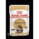 Royal Canin Maine Coon niiske toit 85g x 12