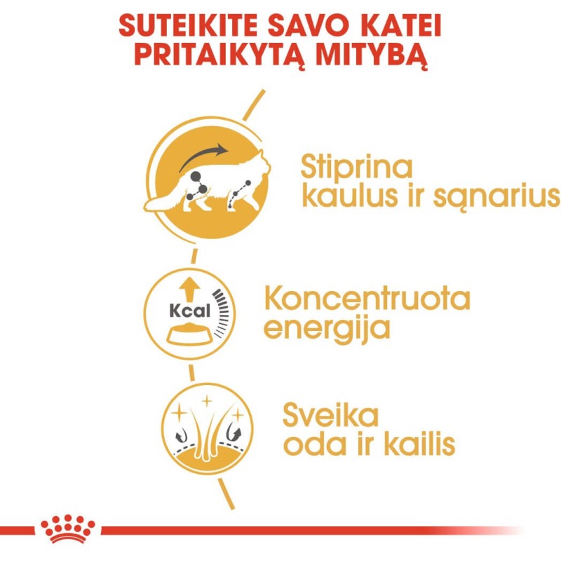 Royal Canin Maine Coon niiske toit 85g x 12