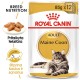 Royal Canin Maine Coon niiske toit 85g x 12