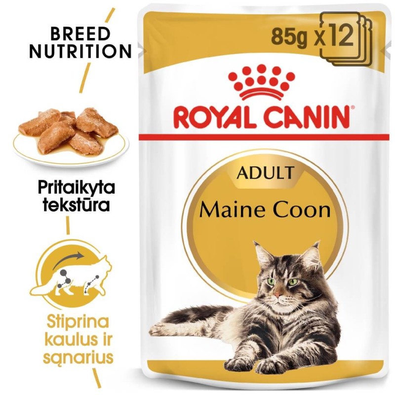 Royal Canin Maine Coon niiske toit kassidele 85g