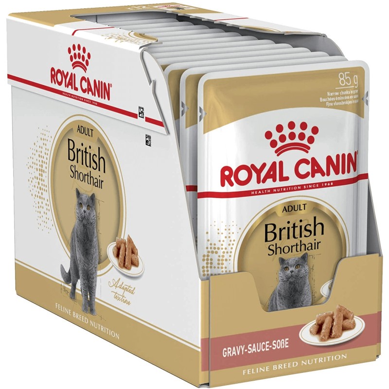 Royal Canin Briti lühikarvaline kassitoit 85g x 12
