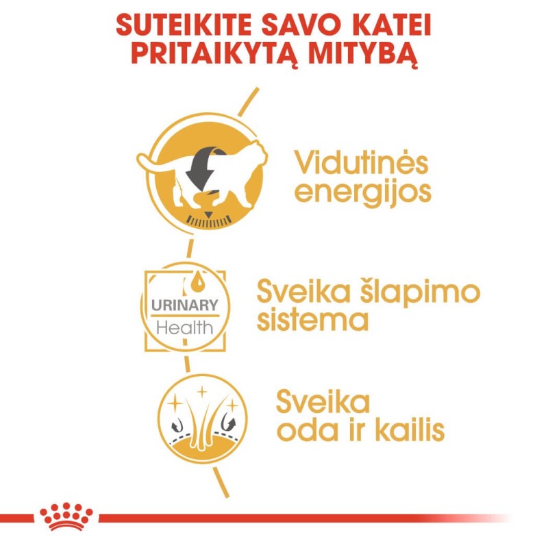 Royal Canin Briti lühikarvaline kassitoit 85g x 12