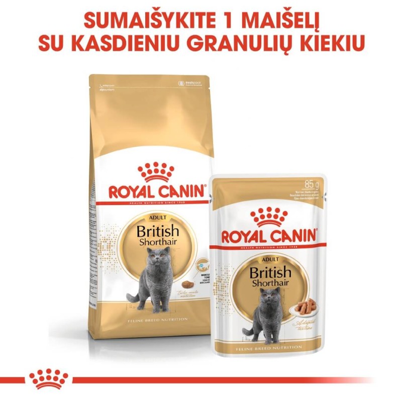 Royal Canin Briti lühikarvaline kasside märg toit 85g