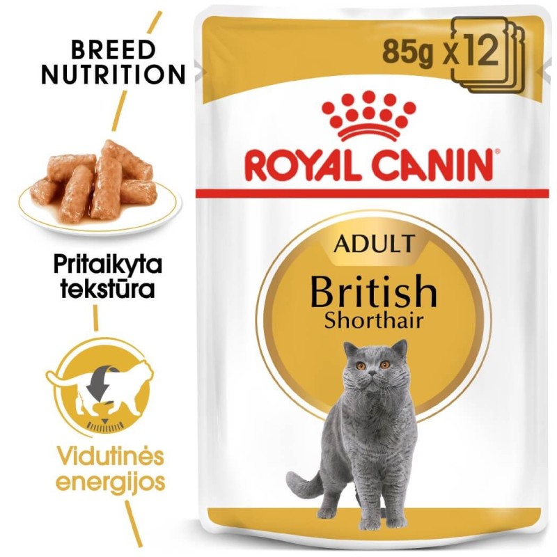 Royal Canin Briti lühikarvaline kasside märg toit 85g