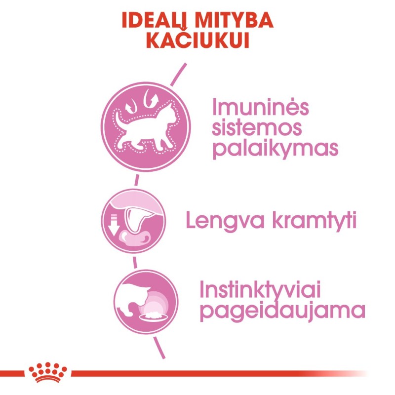 Royal Canin FHN märg toit 85g kassipoegadele