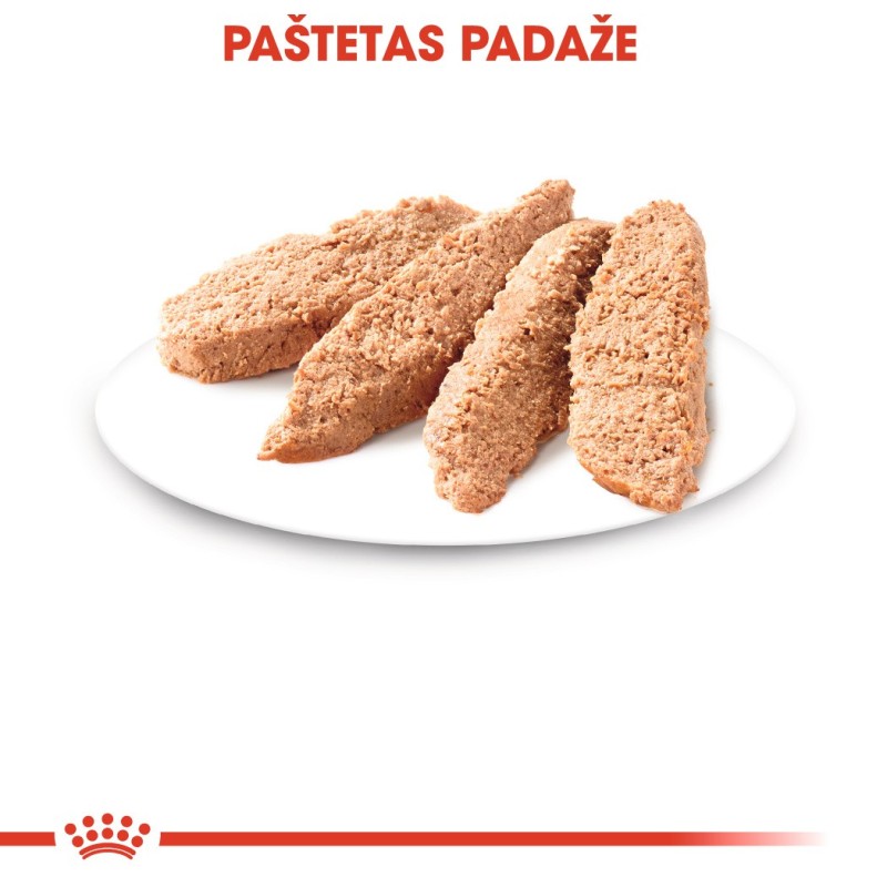 Royal Canin FHN märg toit 85g kassipoegadele