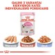 Royal Canin FHN märg toit 85g kassipoegadele