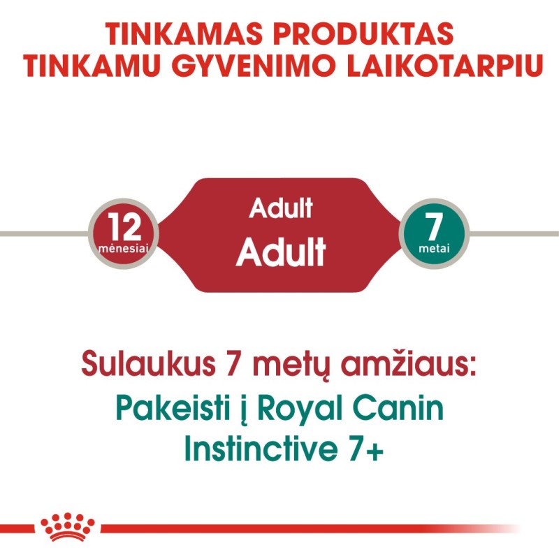 Royal Canin Instinctive märg toit kassidele 85g x 12