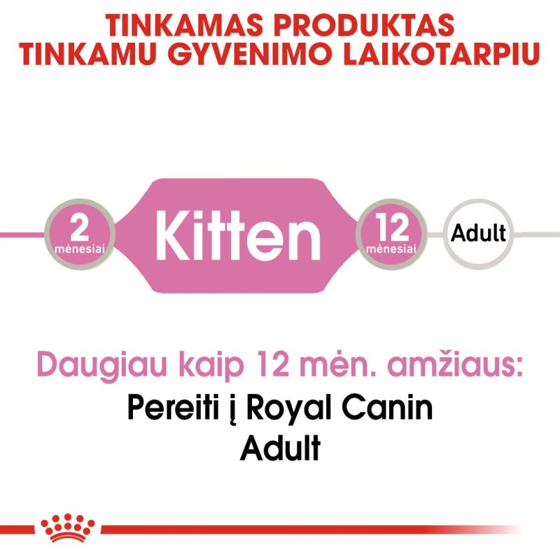 Royal Canin Kitten 85g märg toit kassipoegadele