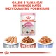 Royal Canin Kitten 85g märg toit kassipoegadele