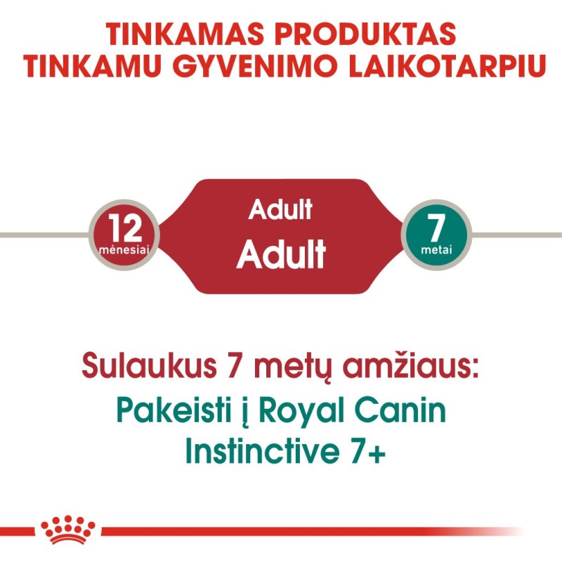 Royal Canin Instinctive 85g x 12 kassidele geeliga