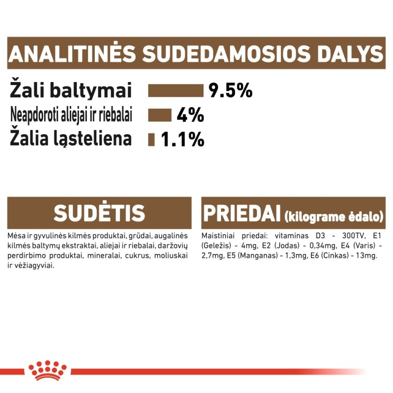Royal Canin FHN märg 85g vananev+12 kassidele