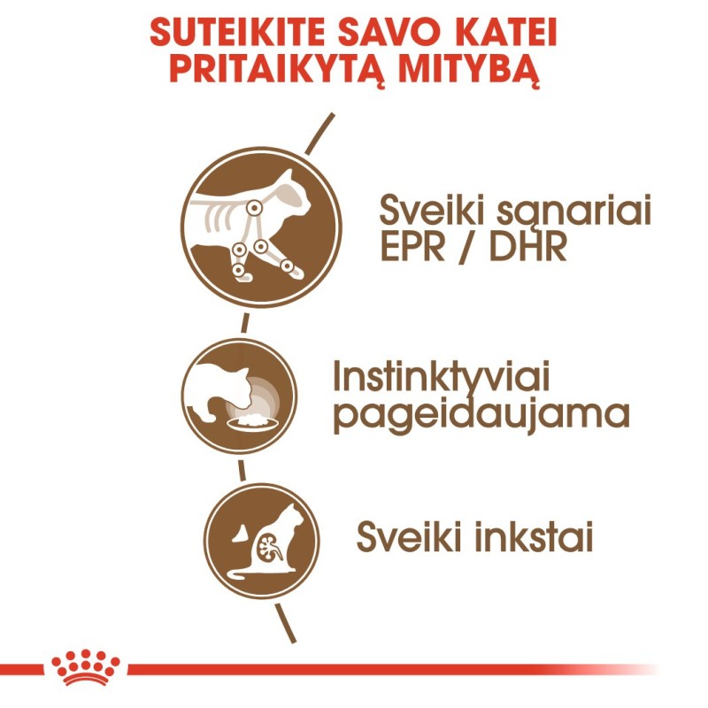 Royal Canin FHN märg toit 85Gx12 vanematele kassidele 12+ kastmes