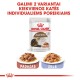 Royal Canin FHN märg toit 85Gx12 vanematele kassidele 12+ kastmes