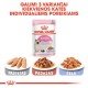 Royal Canin Kiti Instinctive 85g Geelis